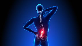 Hurt Spine - Male Hurt Backbone - Backache Headache - Vertebrae Pain